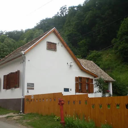 Tulipanos Vendeghaz Obanya