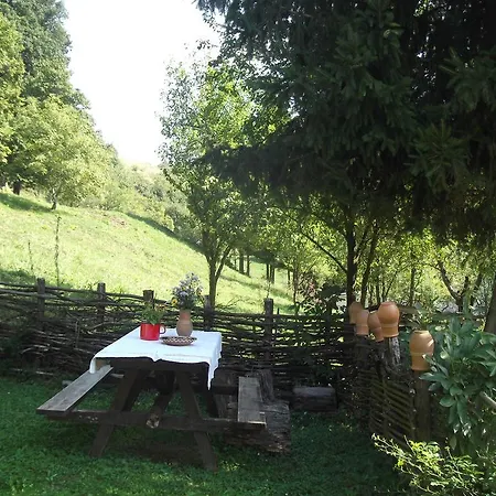 Apartament Tulipanos Vendeghaz Obanya
