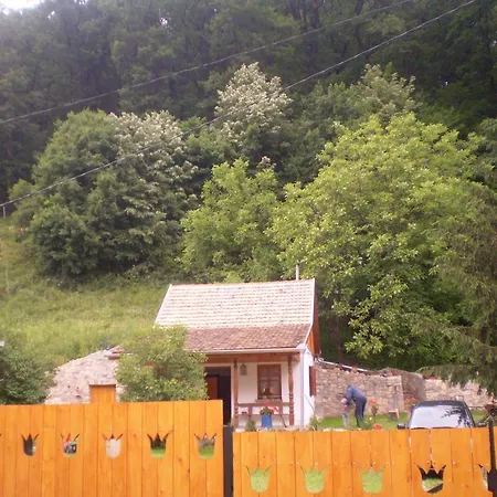 Tulipanos Vendeghaz