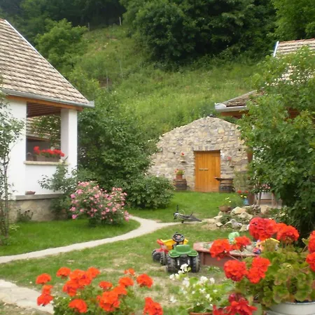 Apartment Tulipanos Vendeghaz