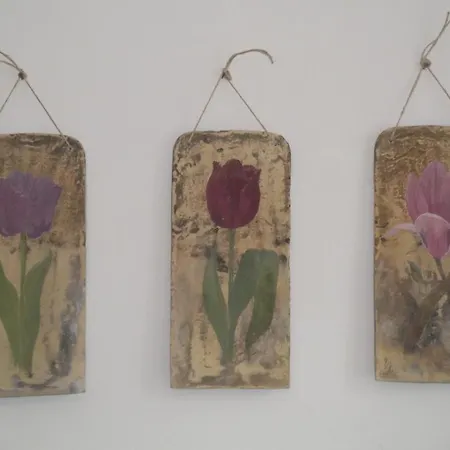 Tulipanos Vendeghaz Obanya