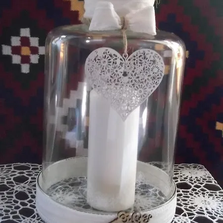 Tulipanos Vendeghaz Obanya