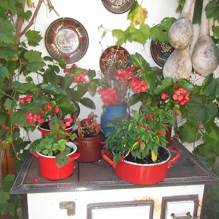 Tulipanos Vendeghaz Apartment