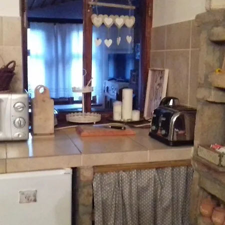Tulipanos Vendeghaz Obanya