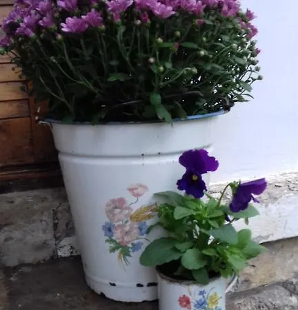 Apartament Tulipanos Vendeghaz *