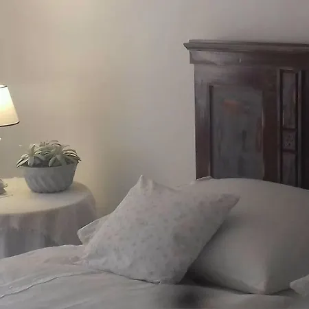 Tulipanos Vendeghaz * Obanya