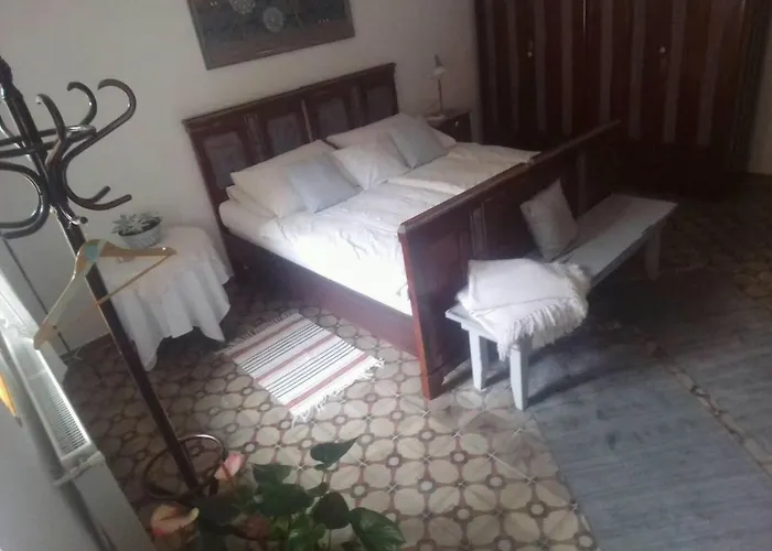 Tulipanos Vendeghaz Obanya